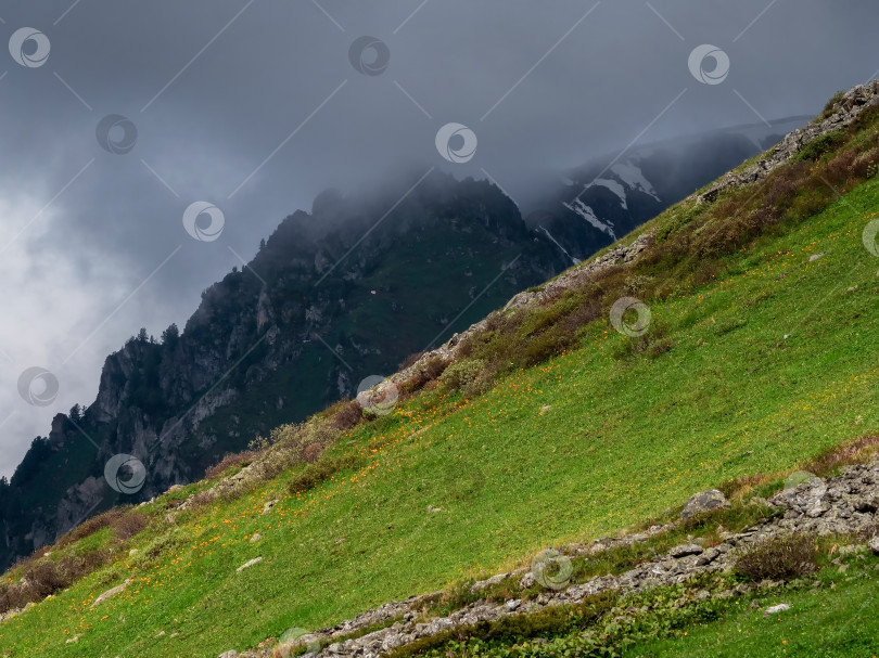 Скачать Живописный летний горный пейзаж. Алтай. фотосток Ozero