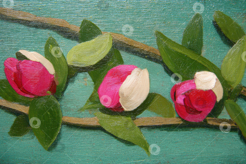 Скачать Яркие розовые цветы с зелеными листьями красиво расположены на текстурированном бирюзовом фоне, демонстрируя тонкие детали природного мастерства и цветовую гармонию фотосток Ozero