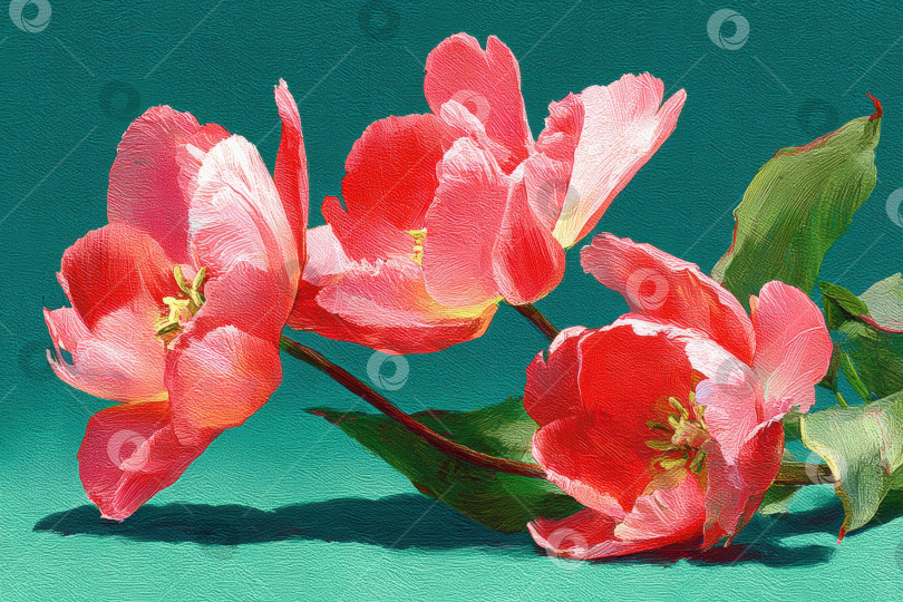 Скачать Яркие розовые тюльпаны с пышными зелеными листьями искусно расположены на текстурированном бирюзовом фоне, демонстрируя красоту цветочного дизайна и элегантность природы фотосток Ozero
