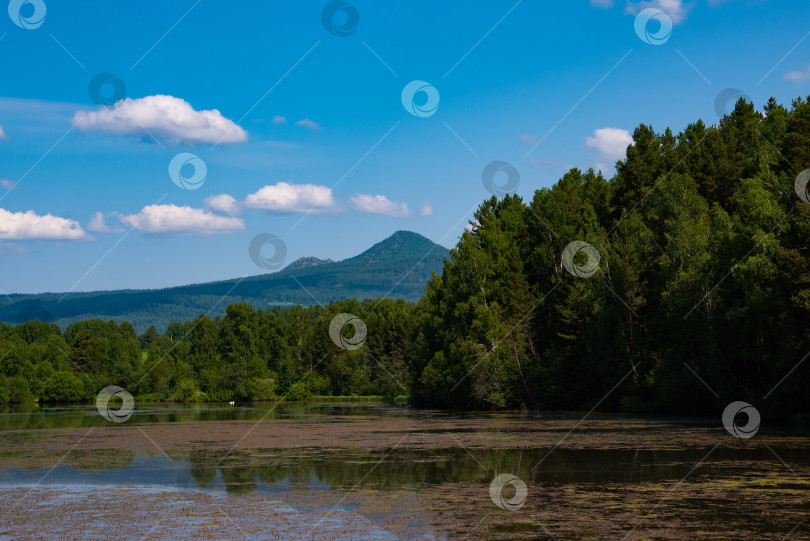 Скачать Лето в горах. Лето в горах. Горы Урала. Уральские горы фотосток Ozero