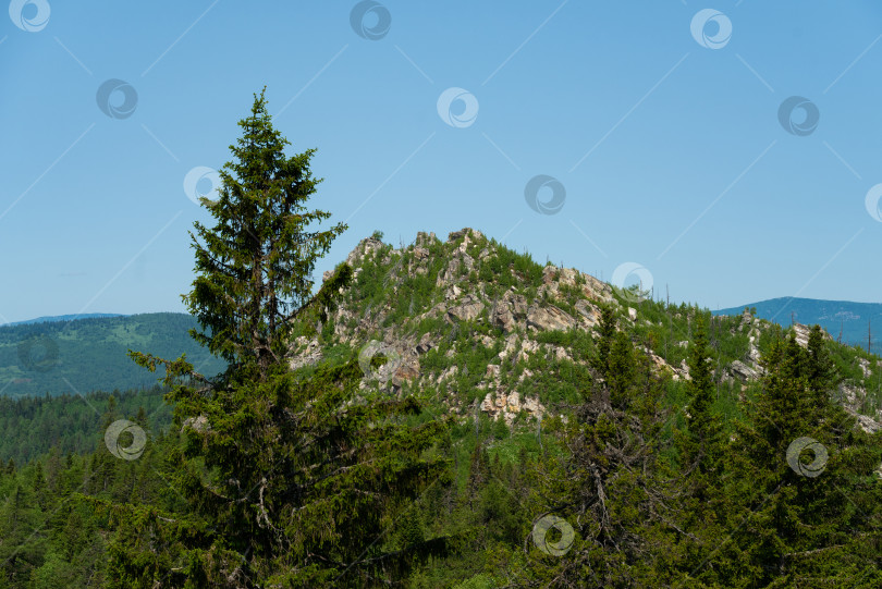 Скачать Лето в горах. Лето в горах. Горы Урала. Уральские горы фотосток Ozero