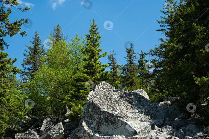 Скачать Лето в горах. Лето в горах. Горы Урала. Уральские горы фотосток Ozero