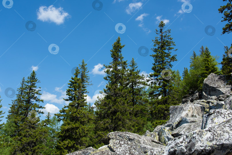 Скачать Лето в горах. Лето в горах. Горы Урала. Уральские горы фотосток Ozero
