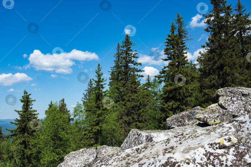 Скачать Лето в горах. Лето в горах. Горы Урала. Уральские горы фотосток Ozero