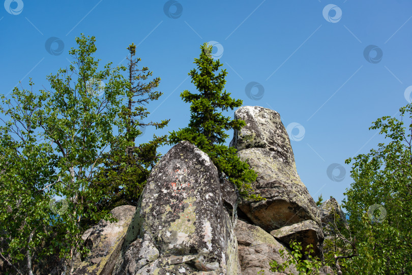 Скачать Лето в горах. Лето в горах. Горы Урала. Уральские горы фотосток Ozero