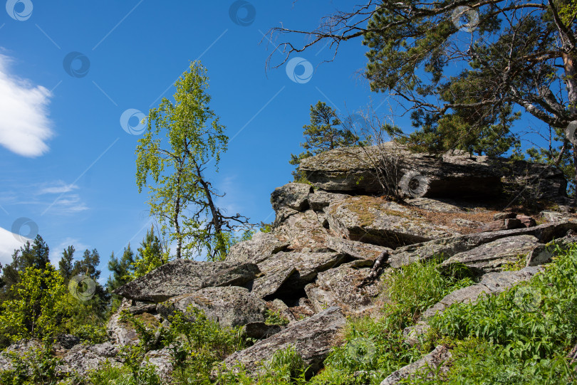 Скачать Лето в горах. Лето в горах. Горы Урала. Уральские горы фотосток Ozero