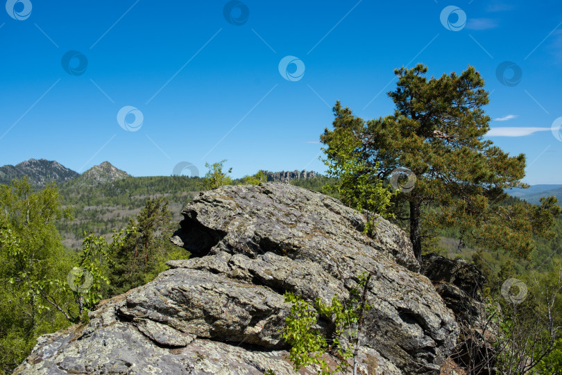 Скачать Лето в горах. Лето в горах. Горы Урала. Уральские горы фотосток Ozero