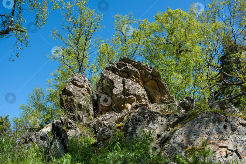 Скачать Лето в горах. Лето в горах. Горы Урала. Уральские горы фотосток Ozero