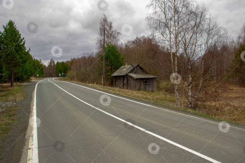 Скачать Автомобильная дорога вдоль деревьев фотосток Ozero