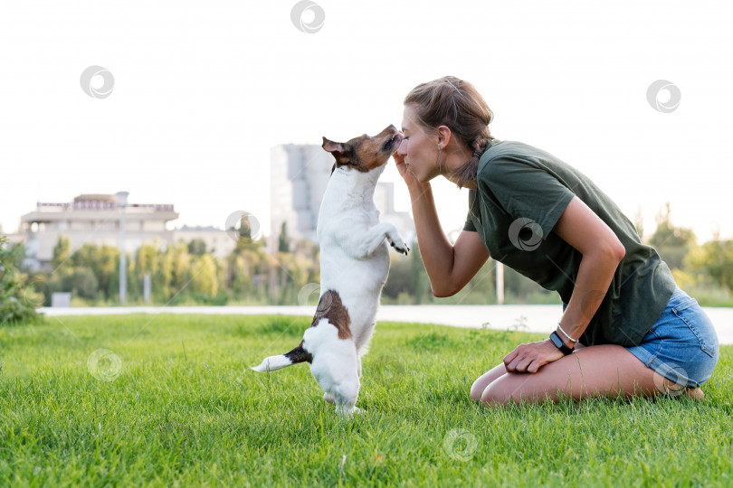 Скачать Прогулка с собакой фотосток Ozero