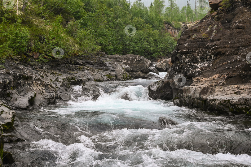 Скачать Пороги на горном ручье. фотосток Ozero