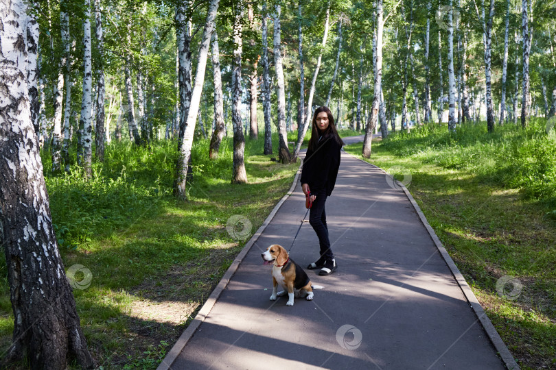Скачать Днем девушка с собакой породы бигль прогуливается по тенистой дорожке в парке, окруженном зелеными деревьями фотосток Ozero