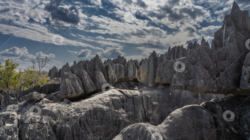 Скачать Знаменитые уникальные карстовые скалы Мадагаскара. фотосток Ozero