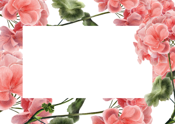 [object Object] undefined