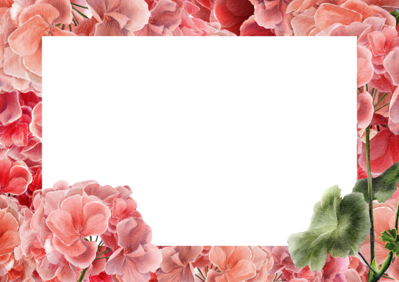 [object Object] undefined