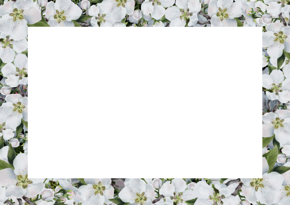[object Object] undefined