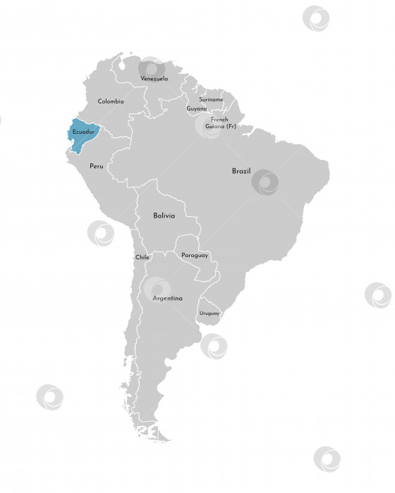 Скачать Векторная иллюстрация с упрощенной картой континента Южная Америка с синим контуром Эквадора. Серые силуэты, белые очертания границы государств фотосток Ozero