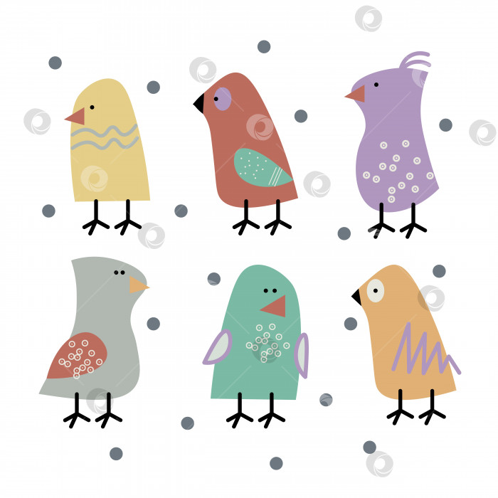 Скачать Набор милых маленьких разноцветных птичек, изолированных на белом фоне фотосток Ozero