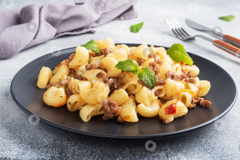 Скачать Тушеные макароны с говяжьим фаршем и овощами, макароны по-флотски на тарелке. серый бетонный фон. фотосток Ozero