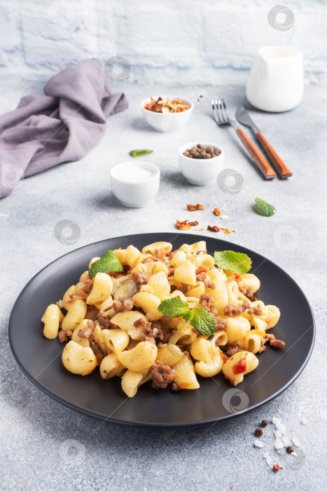 Скачать Тушеные макароны с говяжьим фаршем и овощами, макароны по-флотски на тарелке. фон - серый бетон. Скопировать с места. фотосток Ozero