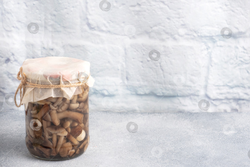 Скачать Консервирование овощей в банках. Продукты брожения. Заготовка грибов на зиму. Место для копирования. фотосток Ozero
