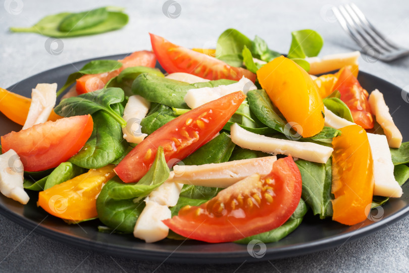 Скачать Салат из отварных кальмаров, свежих помидоров, листьев шпината. Вкусное яркое диетическое блюдо с овощами и морепродуктами. фотосток Ozero