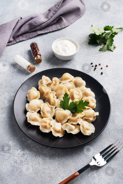 Скачать Традиционные пельмени, равиоли, вареники с мясной начинкой на тарелке, русская кухня. Фон из светлого бетона, место для копирования. фотосток Ozero