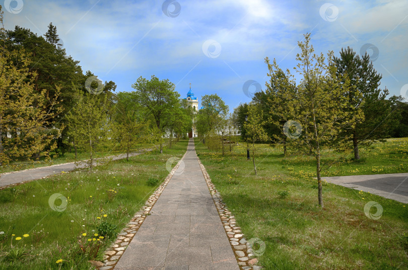 Скачать Аллея, ведущая к монастырю. фотосток Ozero