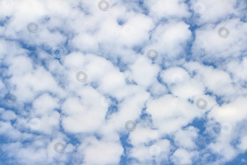 Скачать Пушистые белые облака, разбросанные по ярко-голубому небу, создают безмятежную атмосферу благодаря мягким текстурам и разнообразным формам, идеально подходящим для создания фона и дизайна на природную тематику. фотосток Ozero