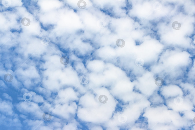 Скачать Бескрайнее голубое небо, наполненное пушистыми белыми облаками, создает безмятежную атмосферу, идеально подходящую для создания фона или проектов на природную тематику, где есть место для копирования. фотосток Ozero