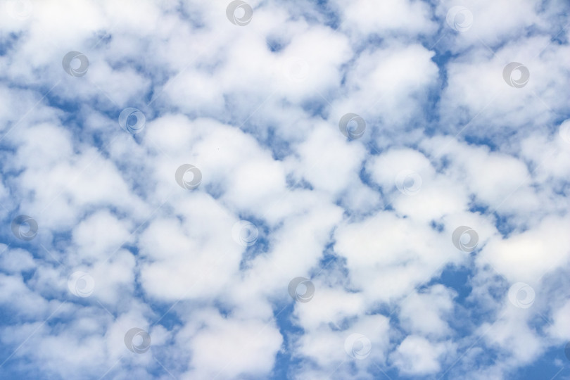 Скачать Бескрайнее голубое небо, наполненное пушистыми белыми облаками, создает безмятежную атмосферу, идеально подходящую для создания фона или проектов на природную тематику, демонстрирующих природную красоту и спокойствие фотосток Ozero