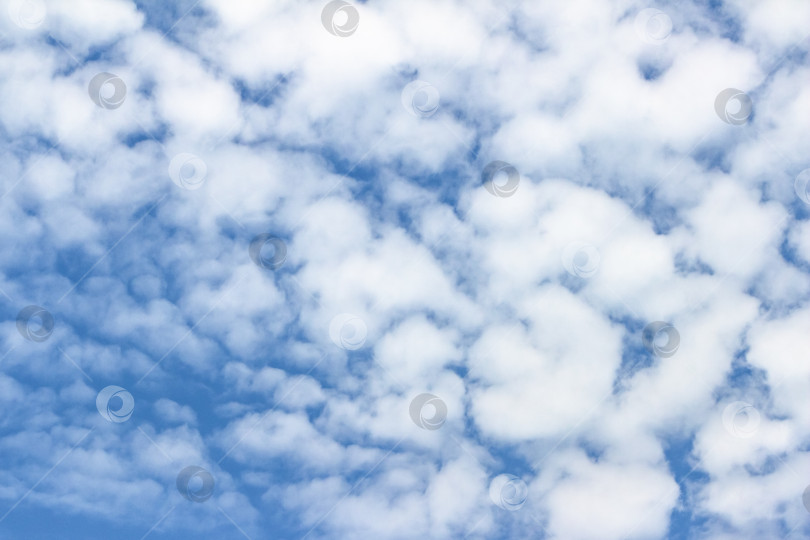 Скачать Бескрайнее голубое небо, наполненное пушистыми белыми облаками, создает безмятежную атмосферу, идеально подходящую для создания фона, дизайнерских проектов или иллюстрации спокойствия и красоты природы. фотосток Ozero
