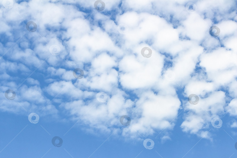 Скачать Бескрайнее голубое небо, наполненное пушистыми белыми облаками, создает безмятежную атмосферу, идеально подходящую для создания фона или дизайнерских проектов, требующих ощущения спокойствия и воздушности. фотосток Ozero