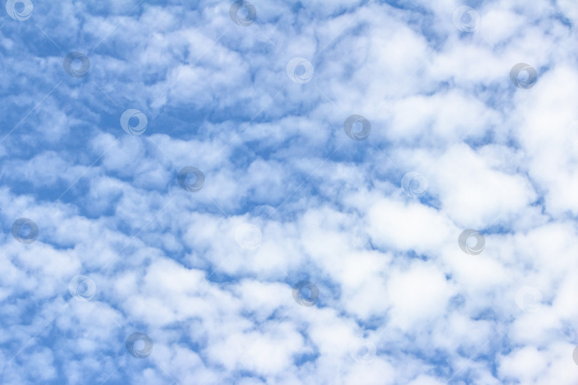 Скачать Ярко-голубое небо, наполненное пушистыми белыми облаками, создает безмятежную атмосферу, демонстрируя красоту природы и спокойствие ясного дня с мягкими облачными образованиями фотосток Ozero