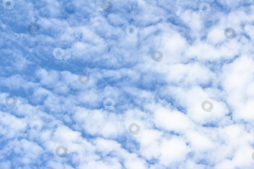 Скачать Бескрайнее голубое небо, наполненное пушистыми белыми облаками, создает безмятежную атмосферу, демонстрируя красоту природы и спокойствие ясного дня мягкими текстурами фотосток Ozero