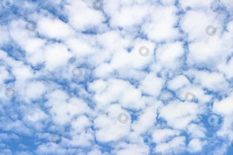 Скачать Ярко-голубое небо, наполненное пушистыми белыми облаками, создает безмятежную атмосферу, идеально подходящую для создания фона или проектов на природную тематику, демонстрирующих красоту неба. фотосток Ozero