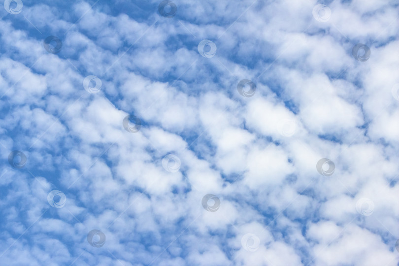 Скачать Бескрайнее голубое небо, наполненное пушистыми белыми облаками, создает безмятежную атмосферу, идеально подходящую для создания фона или дизайна на природную тематику, демонстрирующего красоту природного мира. фотосток Ozero