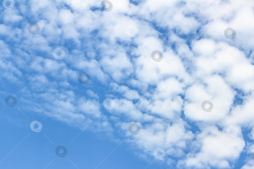 Скачать Бескрайнее голубое небо с пушистыми белыми облаками, разбросанными по горизонту, создает безмятежную атмосферу и дарит ощущение спокойствия и открытости природе. фотосток Ozero