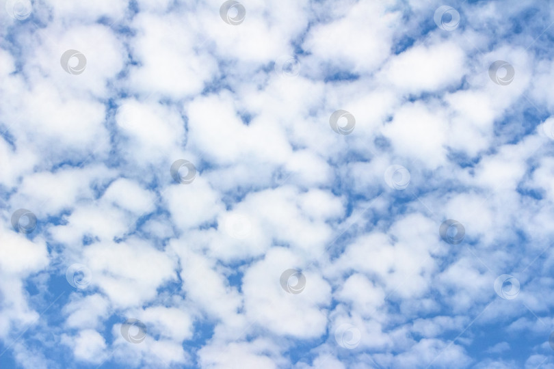 Скачать Обширное голубое небо, наполненное пушистыми белыми облаками, создает безмятежную атмосферу, идеально подходящую для создания фона или проектов на природную тематику с пространством для копирования текста. фотосток Ozero