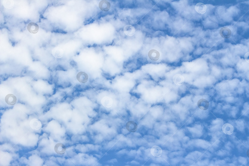 Скачать Бескрайнее голубое небо, наполненное пушистыми белыми облаками, создает безмятежную атмосферу, идеально подходящую для создания фона, дизайна и проектов на природную тематику, демонстрирующих красоту неба. фотосток Ozero