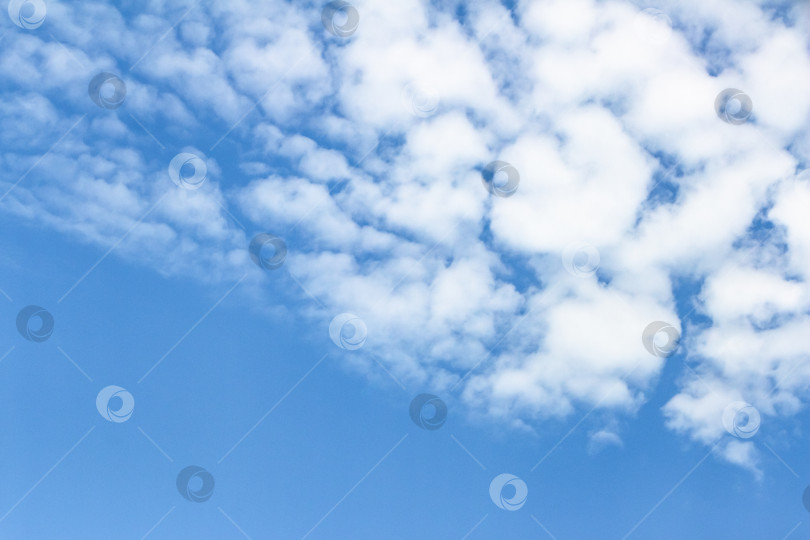 Скачать Бескрайнее голубое небо с разбросанными по нему пушистыми белыми облаками создает безмятежную атмосферу, идеально подходящую для создания фона или дизайн-проектов с пространством для копирования фотосток Ozero