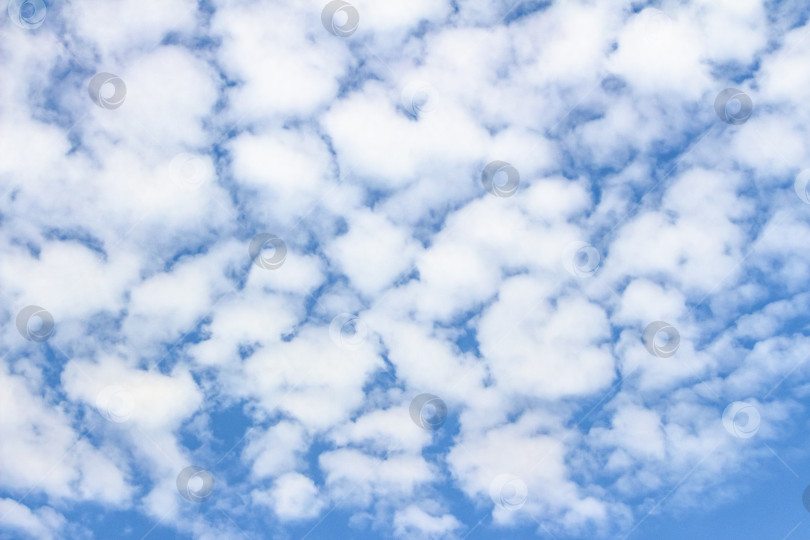 Скачать Бескрайнее голубое небо, наполненное пушистыми белыми облаками, создает безмятежную атмосферу, идеально подходящую для создания фона или проектов на природную тематику, вызывая чувство спокойствия и открытости. фотосток Ozero