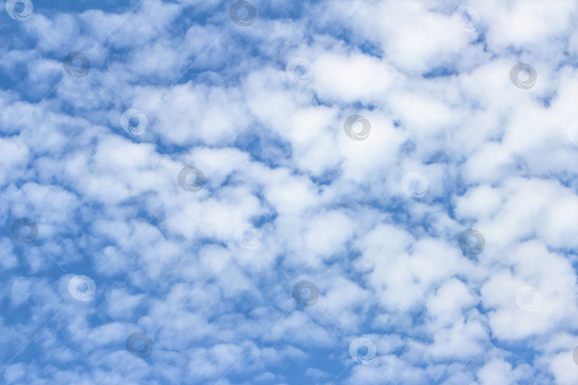 Скачать Бескрайнее голубое небо, наполненное пушистыми белыми облаками, создает безмятежную атмосферу, идеально подходящую для создания фона или дизайнерских проектов, демонстрирующих красоту и спокойствие природы. фотосток Ozero