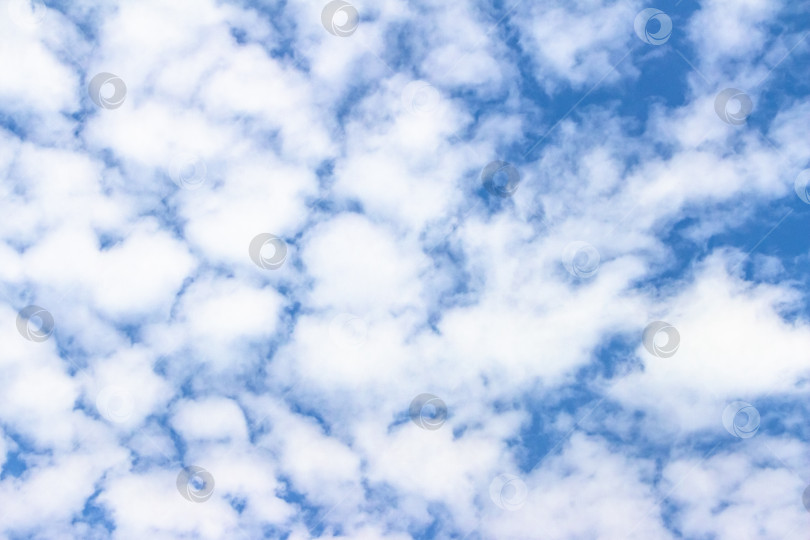 Скачать Бескрайнее голубое небо, наполненное пушистыми белыми облаками, создает безмятежную атмосферу, идеально подходящую для создания фона или дизайнерских проектов, требующих природных элементов и открытого пространства. фотосток Ozero