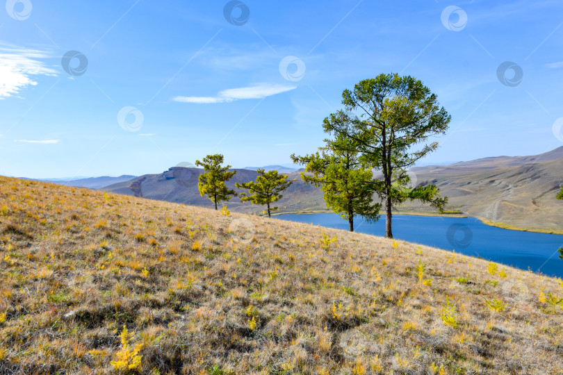 Скачать Горный пейзаж фотосток Ozero