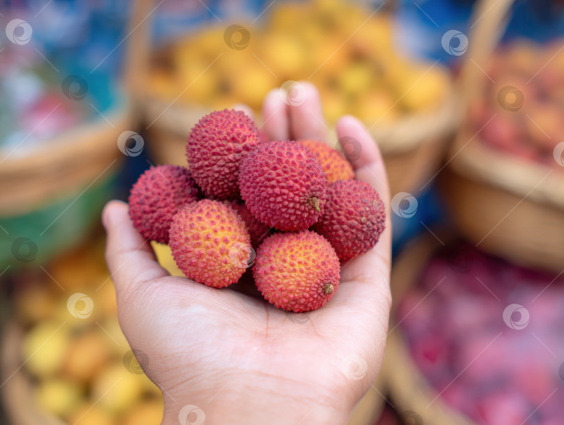 Скачать Ультрареалистичный крупный план руки, предлагающей свежие плоды личи фотосток Ozero