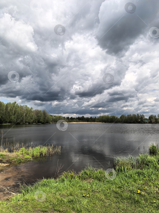 Скачать Озеро Торфяник фотосток Ozero
