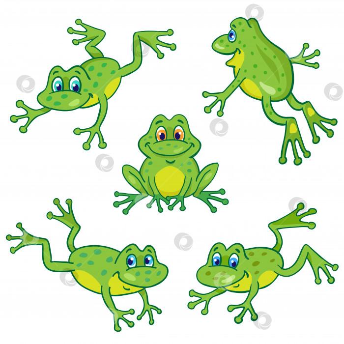 Скачать Набор из пяти забавных маленьких лягушек в мультяшном стиле, сидящих и прыгающих на белом фоне. фотосток Ozero