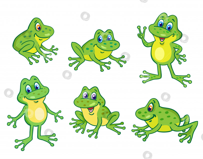 Скачать Набор из шести забавных маленьких лягушек в мультяшном стиле, сидящих и прыгающих на белом фоне. фотосток Ozero