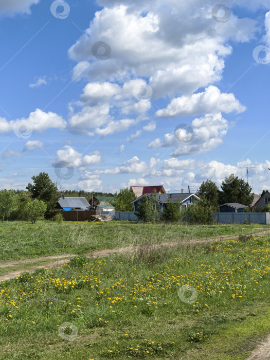 Скачать летний пейзаж с дачными домиками фотосток Ozero